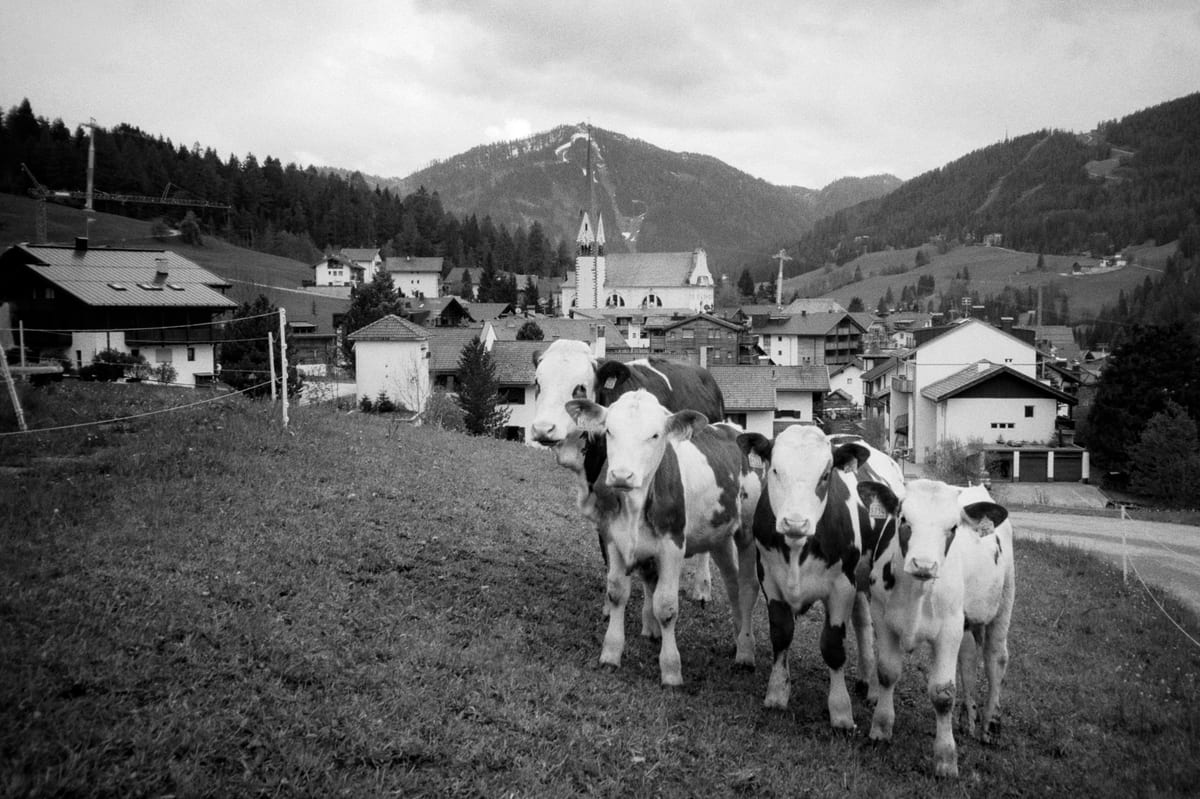 Film frame 19